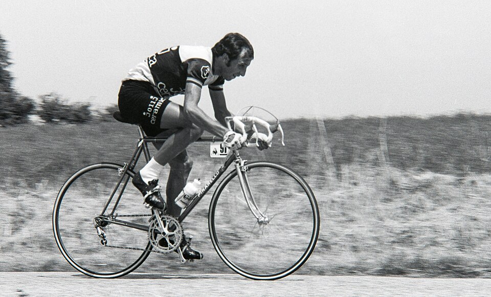 Fausto Bertoglio