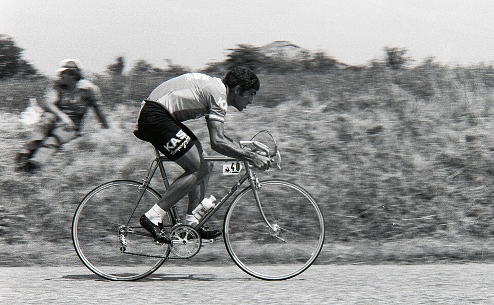 José Pesarrodona